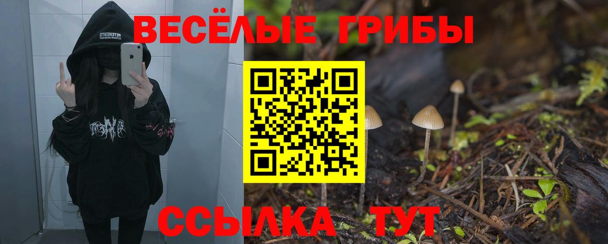 Галлюциногенные грибы мухоморы  Вход с VPN  Псилоцибиновые грибы GOLDEN TEACHER  Тулун 