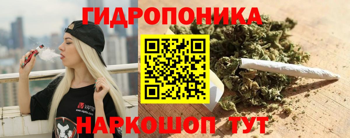 Каннабис план Тулун